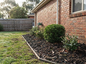 Garden Tidy-Ups
