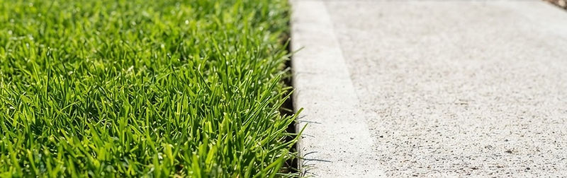 A freshly cut lawn with a sharp, clean edge