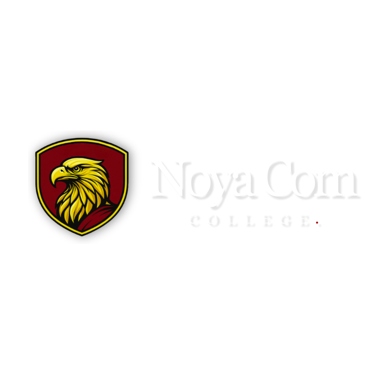 NoyaCom College