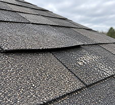 Single asphalt shingle showing subtle wind lift and light granule loss after a storm