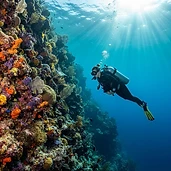 Buceo guiado en el arrecife de Palancar