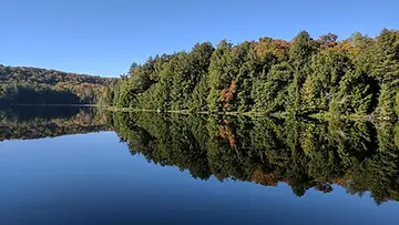 Algonquin
