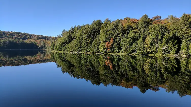 Algonquin