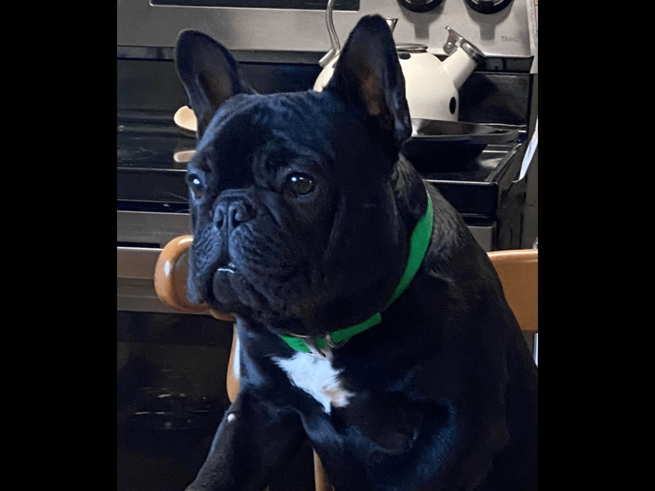 He likes to sit at the table