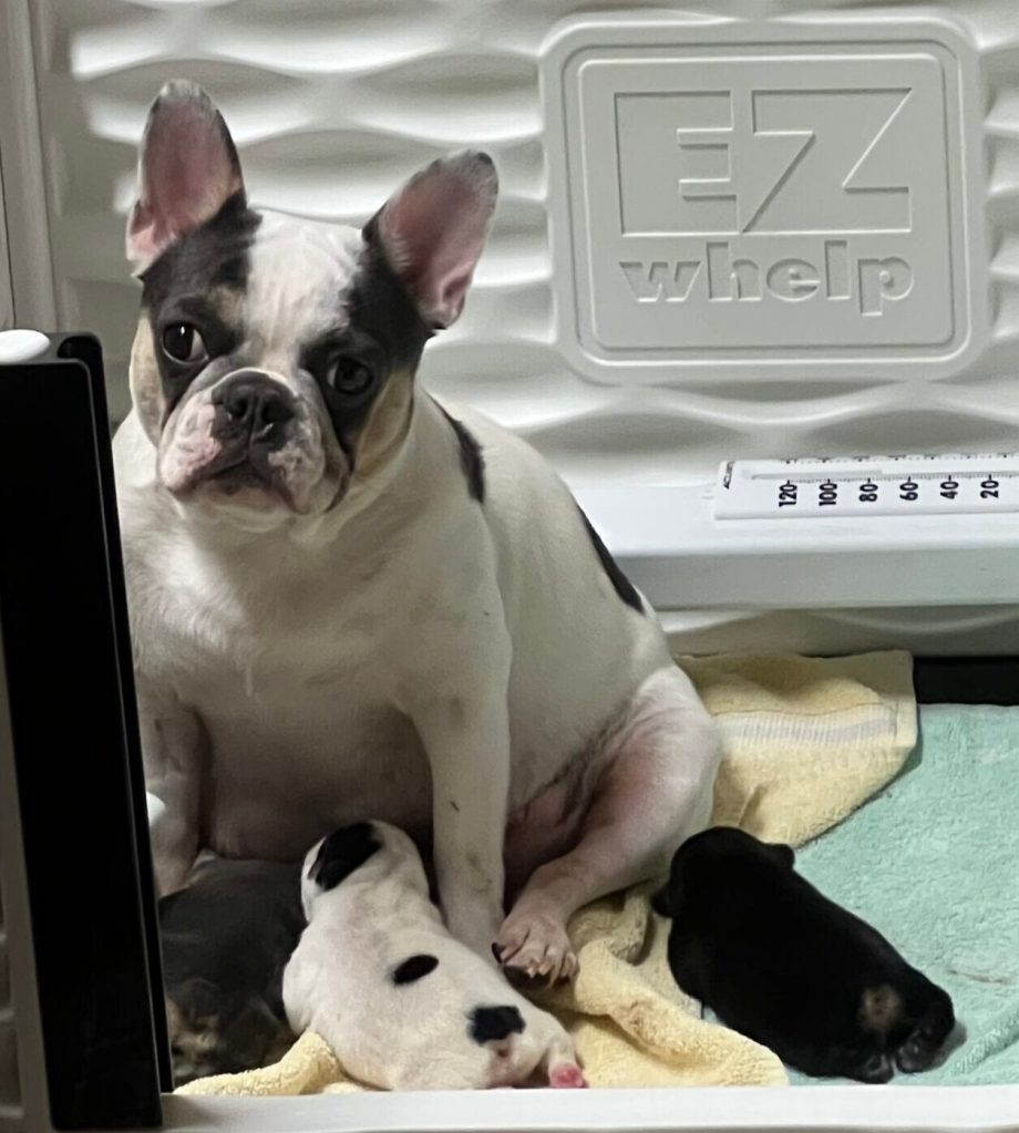 Such a great Mom