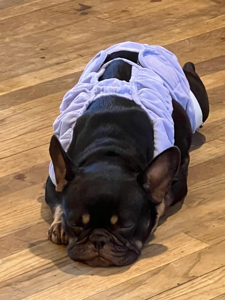 Loves her dress