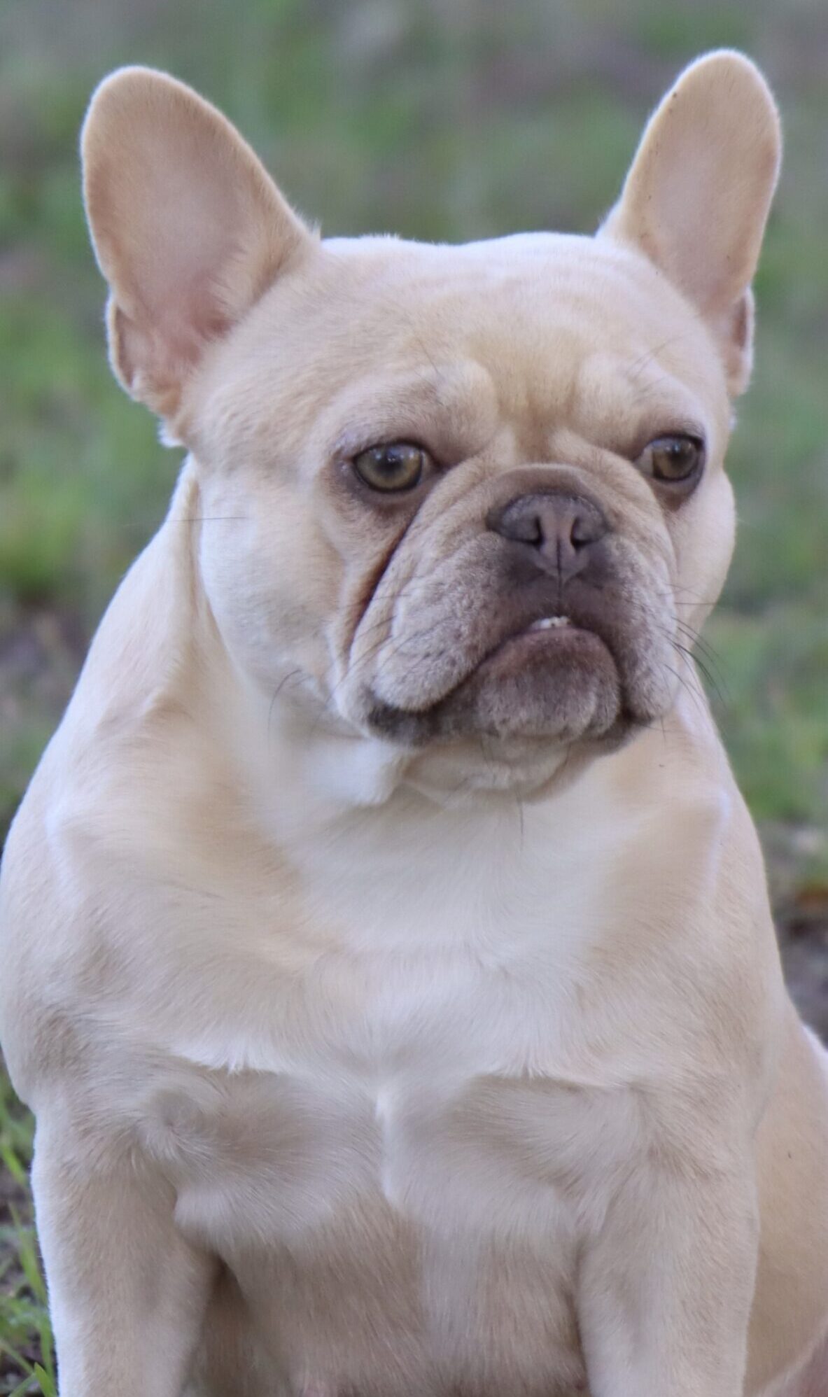 COCO CHANEL