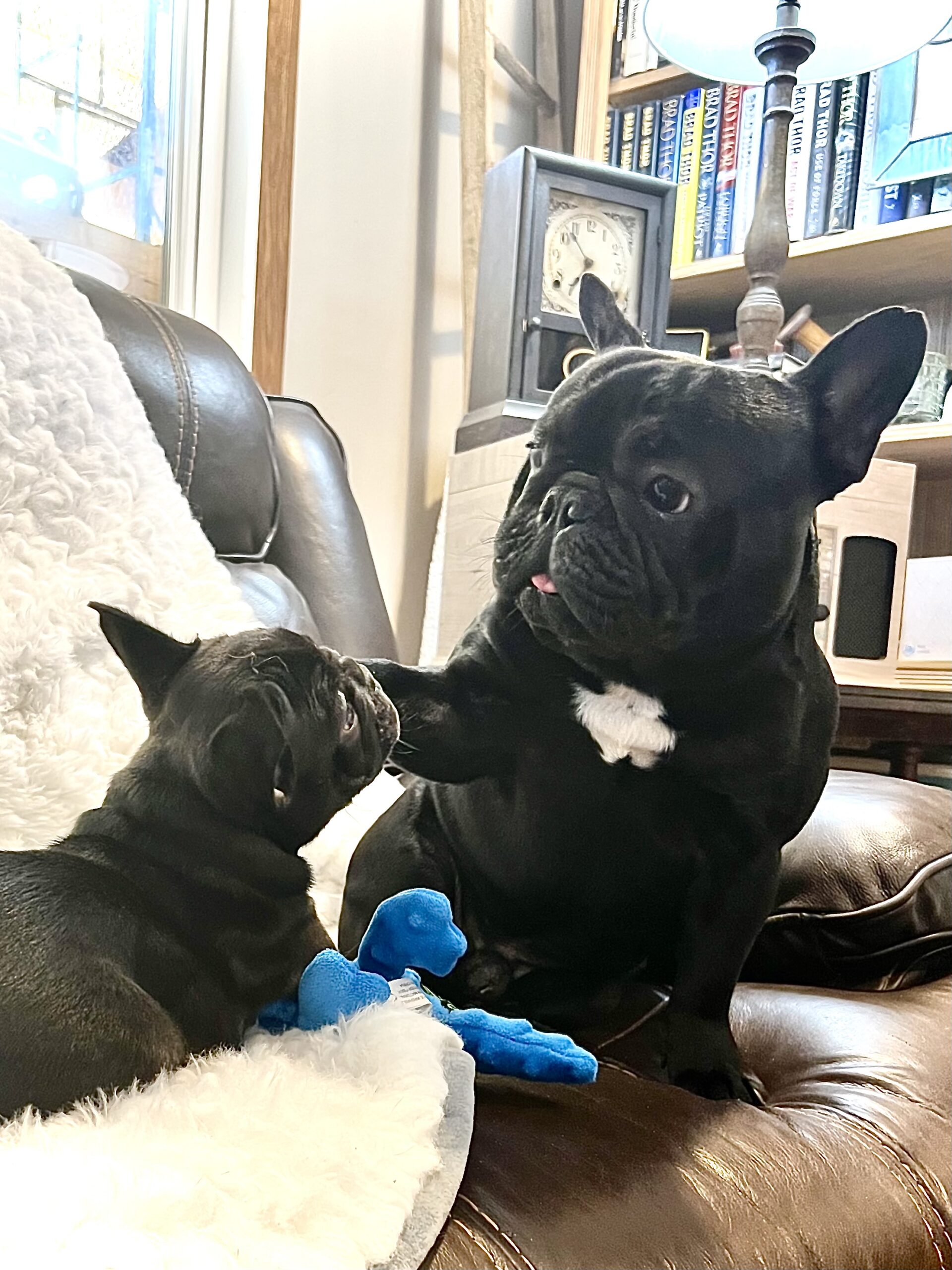 Loves his babies