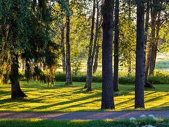 Miljö och hållbarhet i norra Sverige – Lundquist Umeå – utfört arbete – Lundquist
