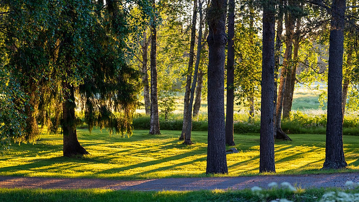 Miljö och hållbarhet i norra Sverige – Lundquist Umeå – utfört arbete – Lundquist