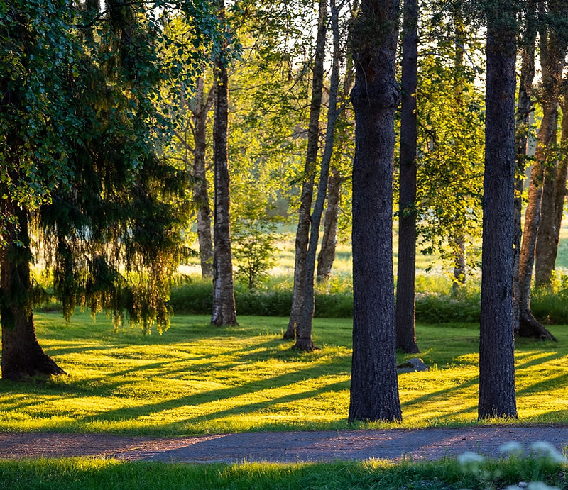 Miljö och hållbarhet i norra Sverige – Lundquist Umeå – utfört arbete – Lundquist