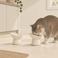 Raised cat bowls with a tilted stand
