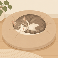 Bolstered donut bed for senior cats