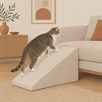 Foam ramp for the sofa and bed