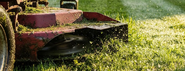Lawn & Yard Care by Foster Reality