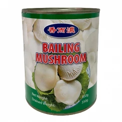 Canned Bailing Mushroom