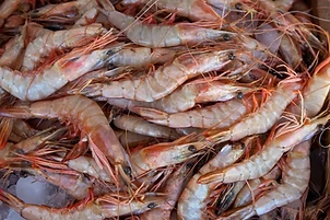 Prawn Meat IQF (26-30)