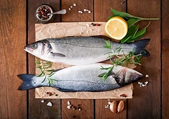 Live Seabass