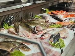 Frozen Seafood