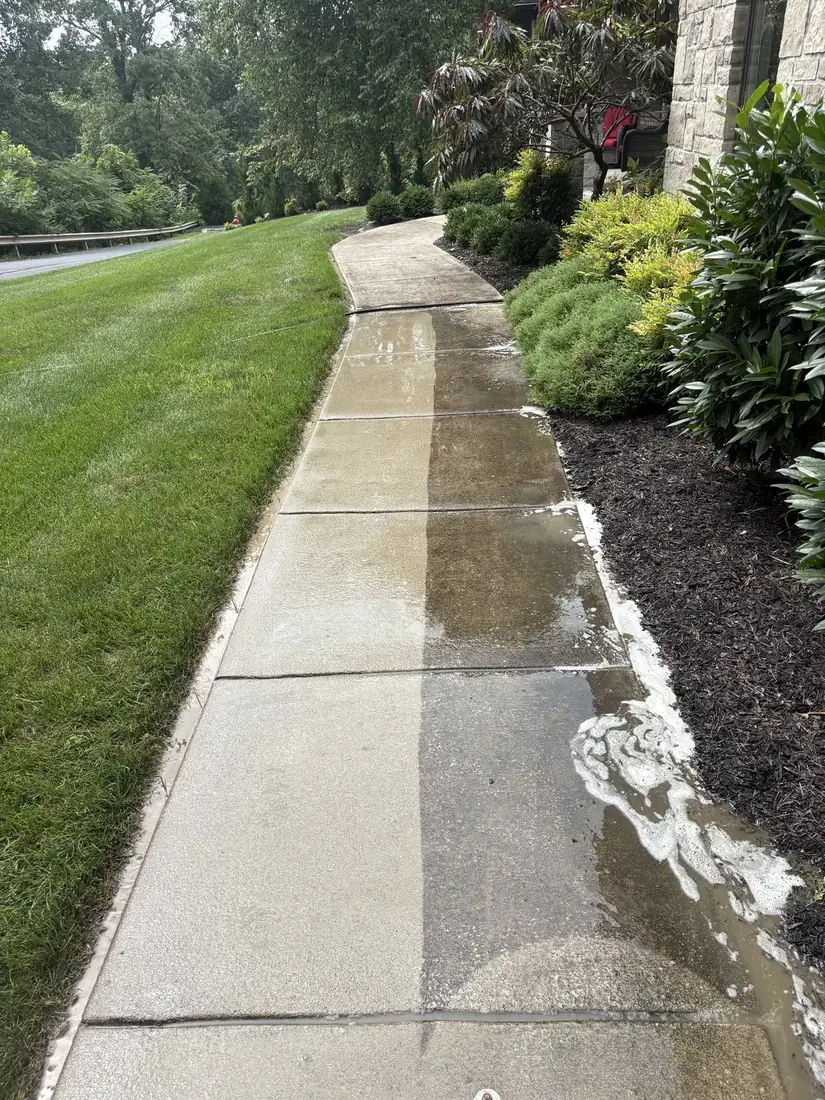 Sidewalk next to landscaping before and after cleaning, half dirty and half clean