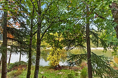 Wooded grounds along the river