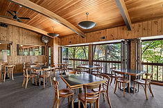 Dining at Tad's Chicken 'n Dumplins
