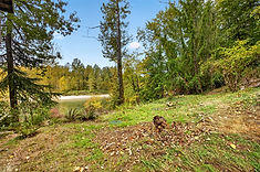 Lawn and riverbank grounds