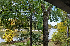 Sandy River through trees