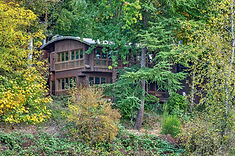 Tad's river-facing architecture among trees