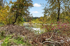 Sandy River at Tad's Chicken 'n Dumplins