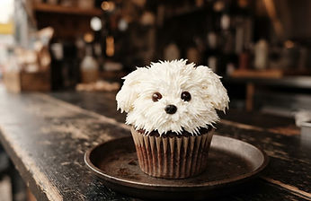 Maltese Pupcake from the Michelin Munchies truck in Boise