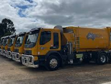 A line of yellow Wheelie Waste collection trucks parked in a row