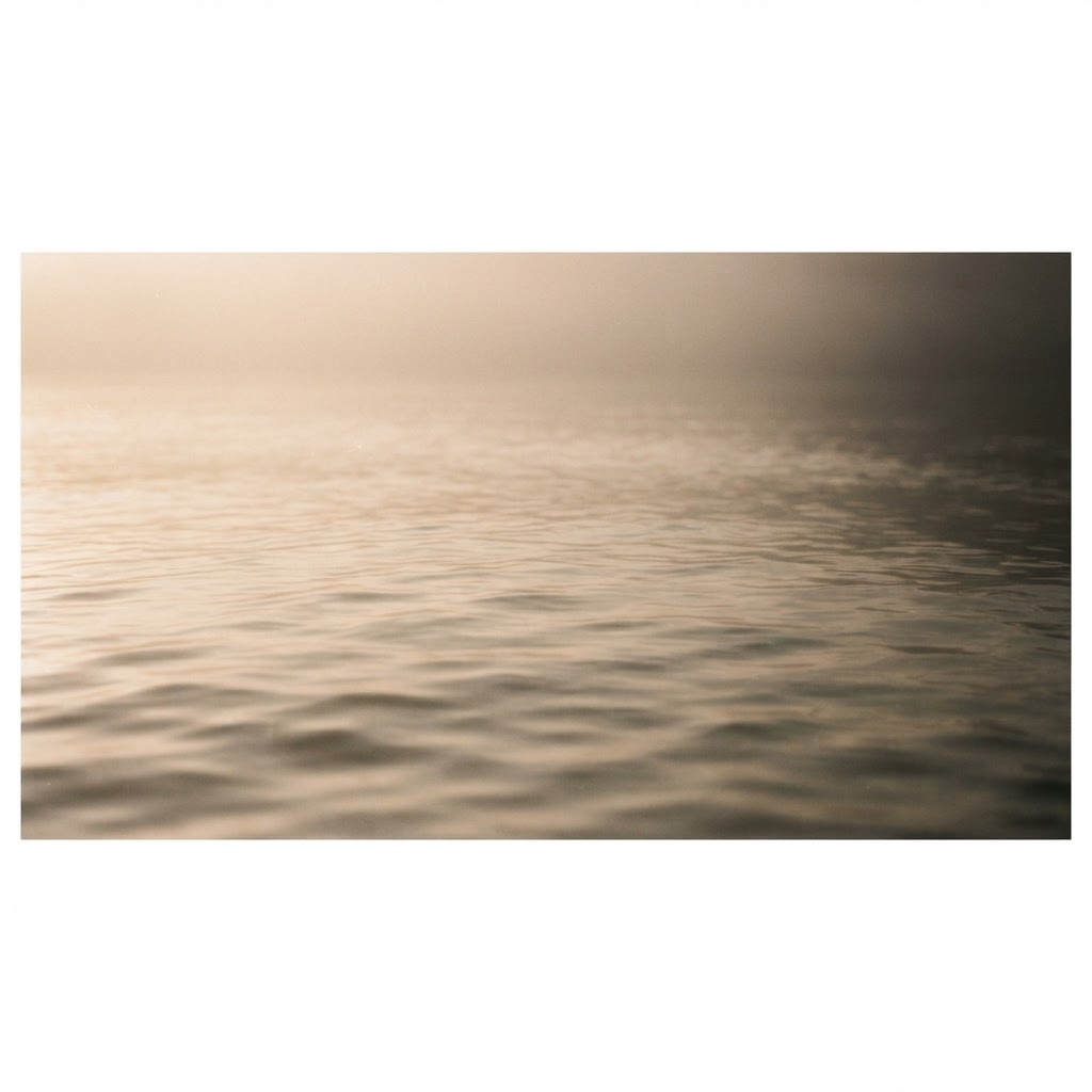 Still water catching soft morning light