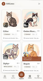 Écran Quartier de l’application : les FéliCartes du voisinage, avec la fiche de Requin marquée chat perdu