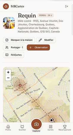 Fiche de Requin dans FéliCartes : statut perdu, carte de la zone à fouiller et aperçus horodatés