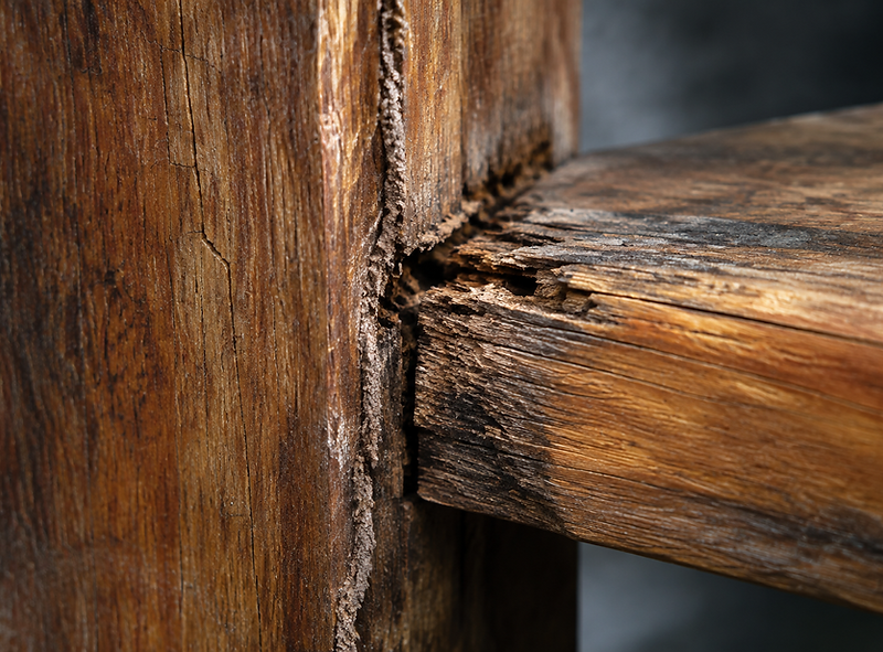 Macro detail of weathered hardwood showing surface checking and early moisture damage