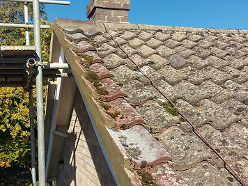 Verge and ridge, up close