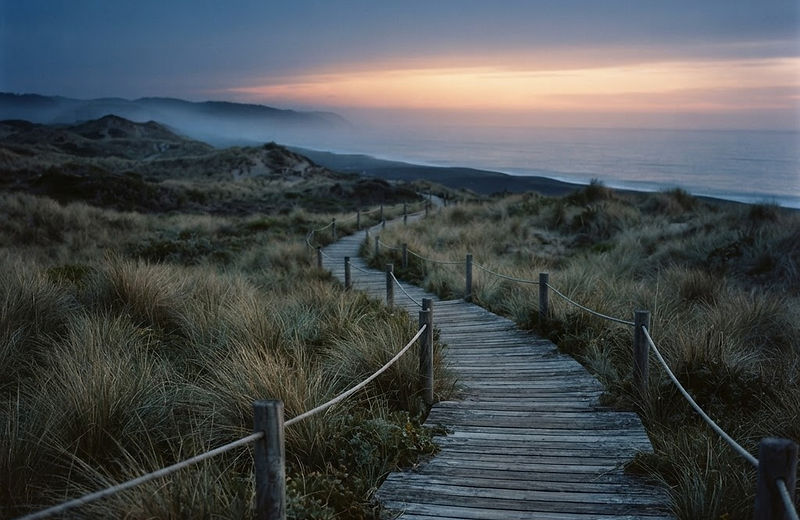 Dune path toward a calm horizon