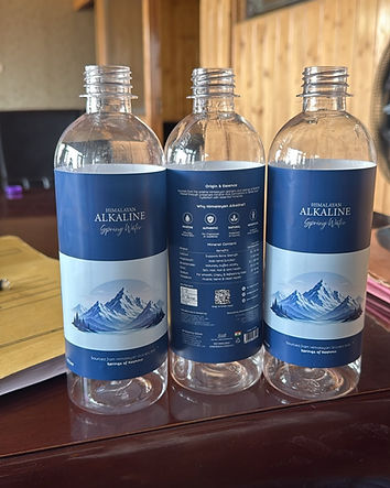 1 Litre Himalayan Alkaline Spring Water