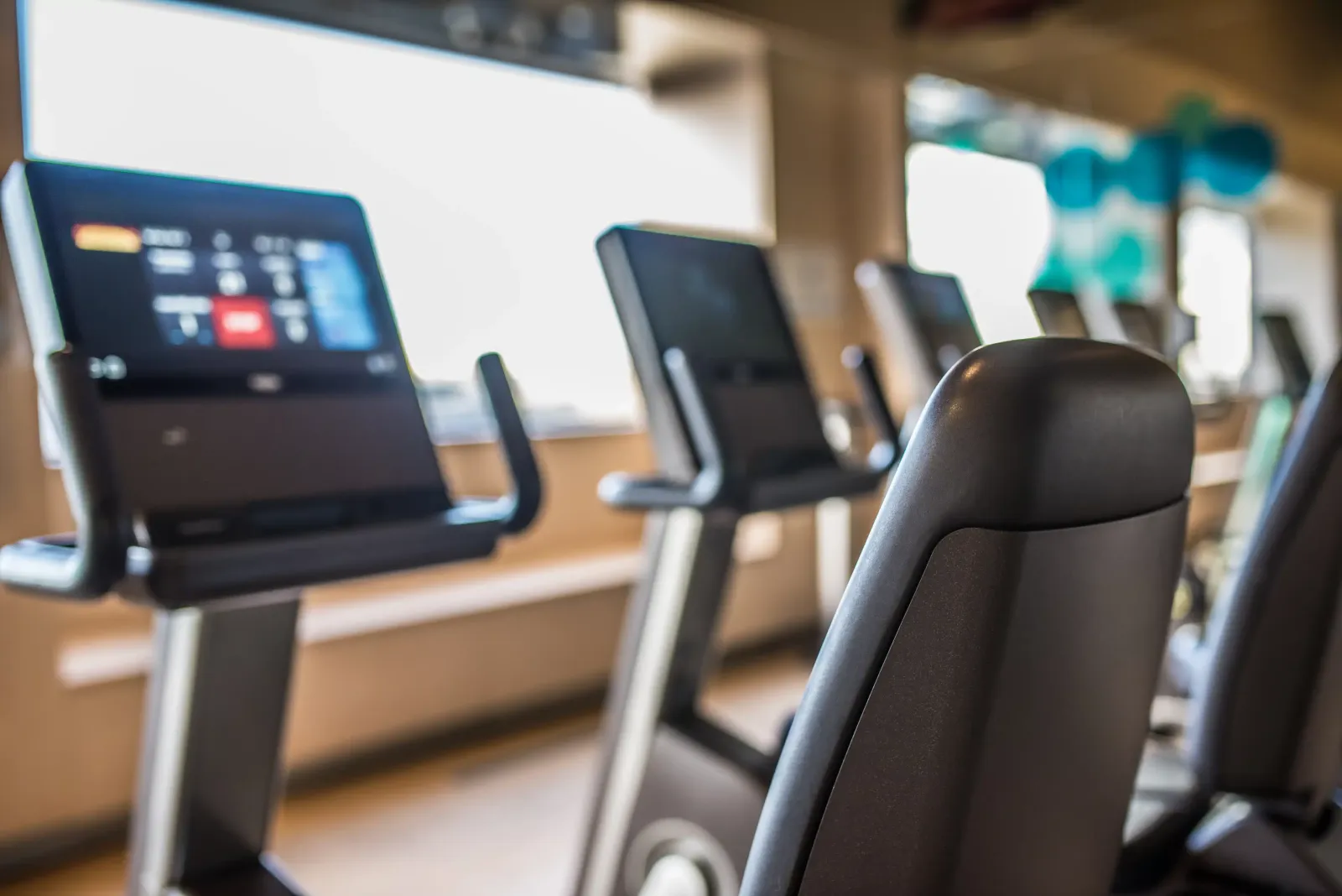 Gimnasio