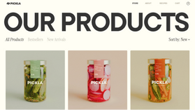 AI-generated pickle shop product page