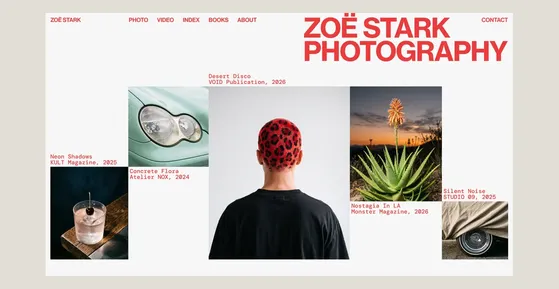 A photographer's portfolio website: a project grid and studio name laid out as the visitor sees it