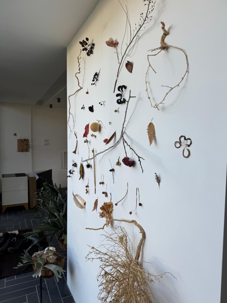 Wall installation of collected objects — branches, leaves, seeds | מיצב קיר של עצמים שנאספו — ענפים, עלים, זרעים