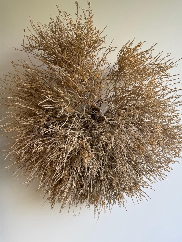 Tumbleweed sphere on wall | כדור צמח גלגל על הקיר