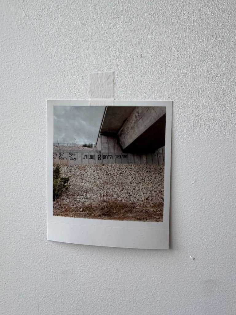 Quills burst through copper paper on wall | קוצים פורצים דרך נייר נחושת על הקיר