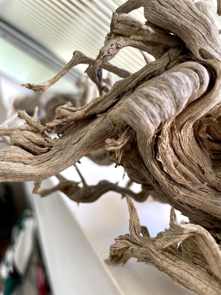 Twisted driftwood sculpture close-up texture | פיסול עץ סחוף מפותל — טקסטורה בתקריב