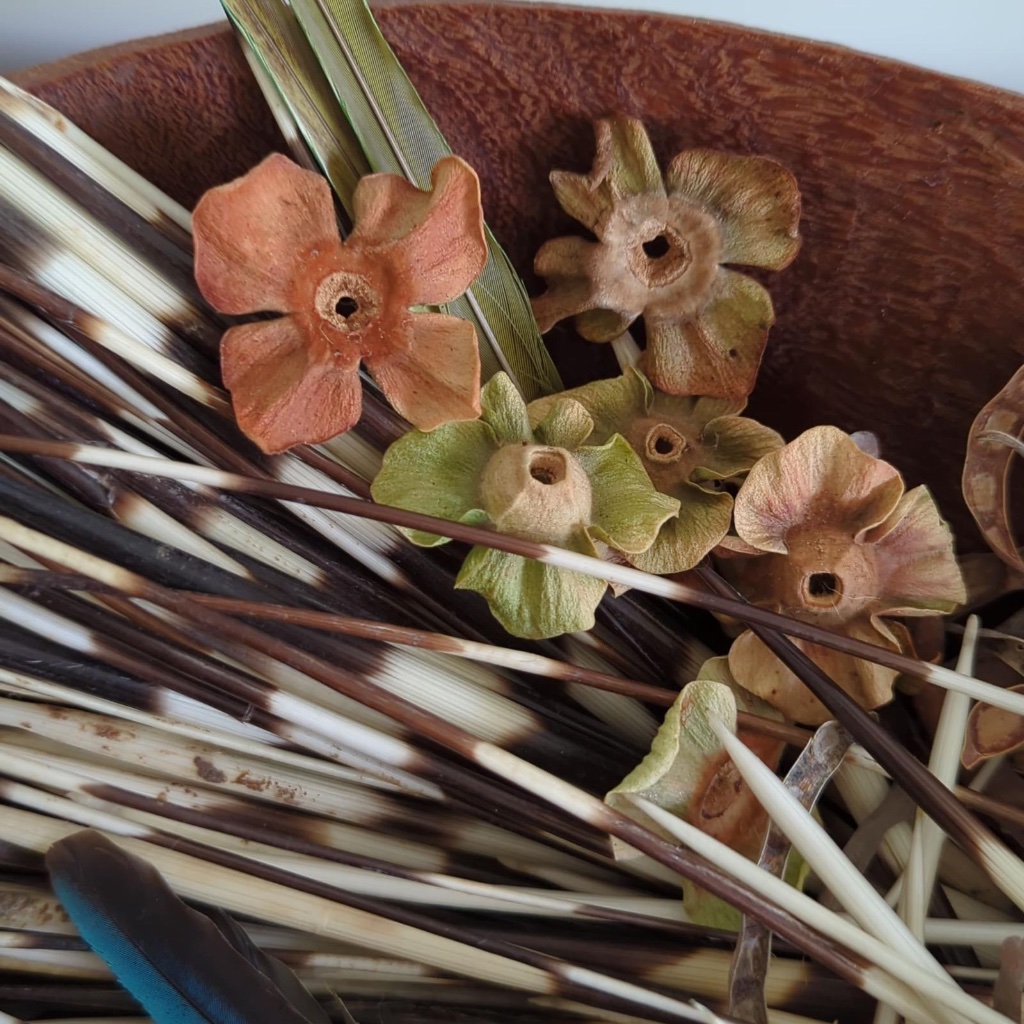 Seed pods, quills, and feathers in wooden bowl | תרמילי זרעים, קוצים ונוצות בקערת עץ