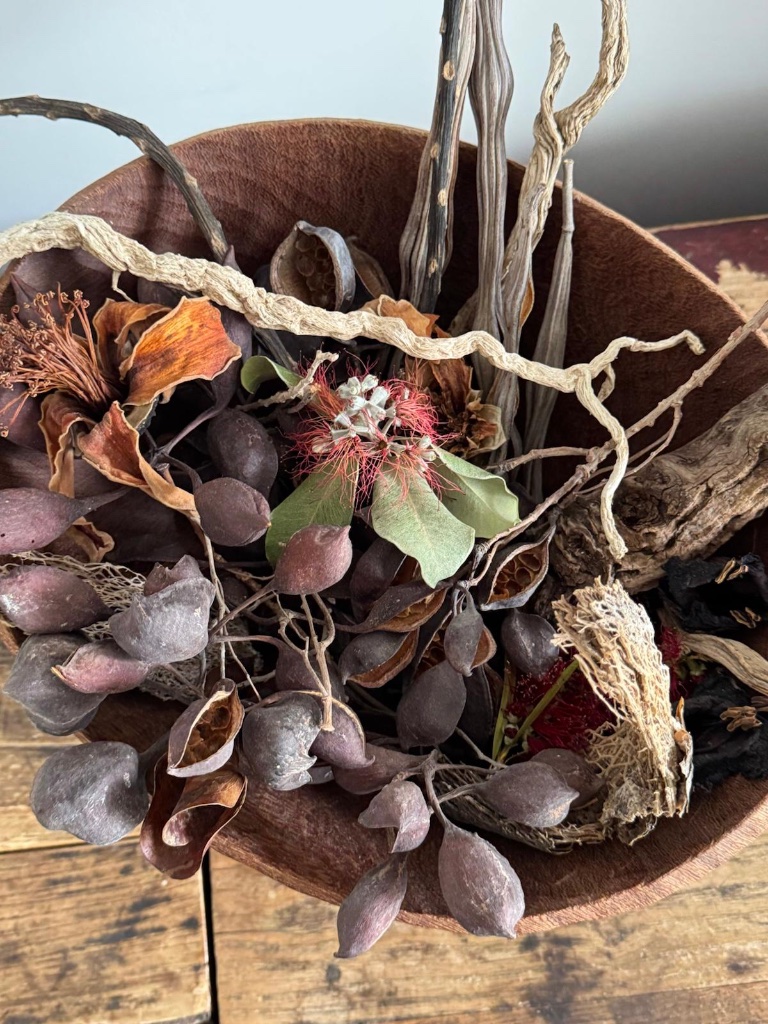 Purple seed pods and driftwood in wooden bowl | תרמילי זרעים סגולים ועץ סחוף בקערת עץ