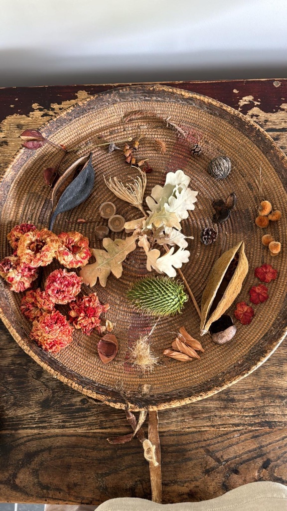 Natural objects arranged on woven basket on wooden surface | עצמים מן הטבע מסודרים על סל מקושקש על משטח עץ
