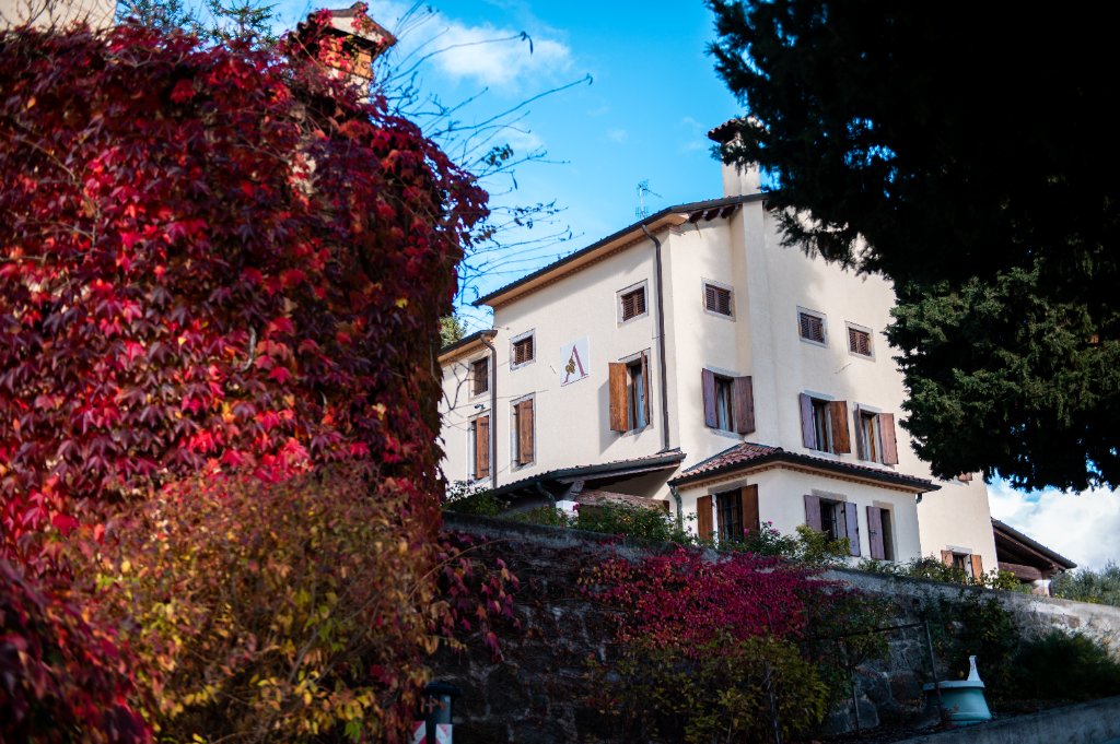 Ville D'Arfanta vineyard in autumn, Veneto Italy — Prosecco DOC Rosé grapes for Malta wine importer